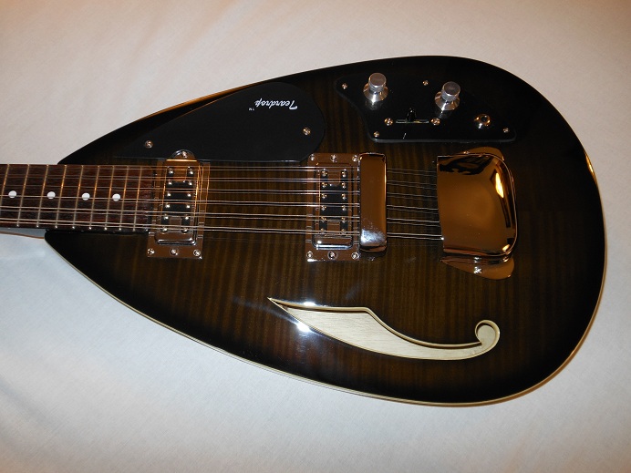 Teardrop Hollow Body 12 String Picture 8